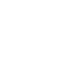 Venmo Icon